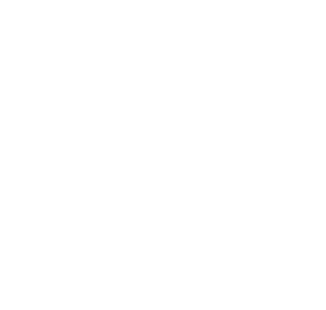 stevini-logo-definitivo